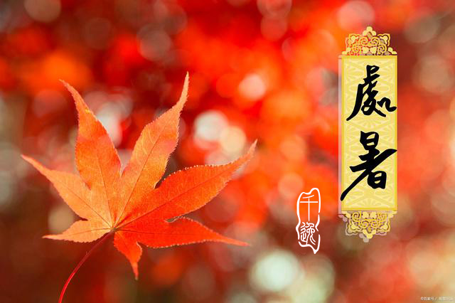 处暑：稻花香里说丰年