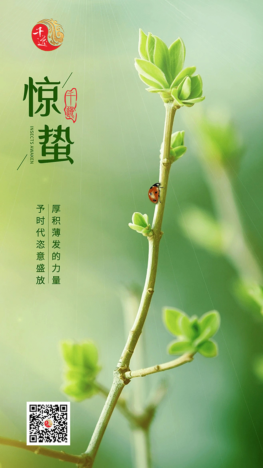 惊蛰万物醒 顺时养阳要抓紧