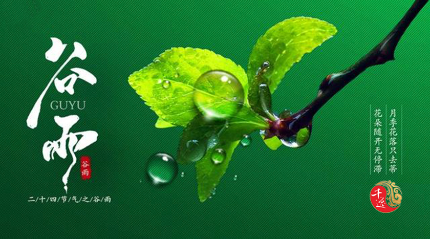 谷雨节气养生 如何护肝祛湿